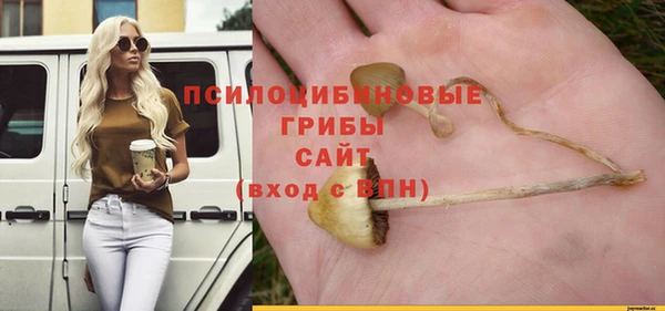 бошки Покров