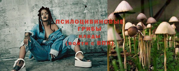 бошки Покров