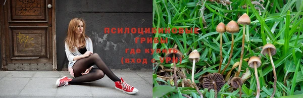 бошки Покров